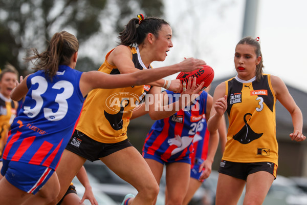 Coates League Girls 2025 Preliminary Final - Dandenong Stingrays v Oakleigh Chargers - A-62355722