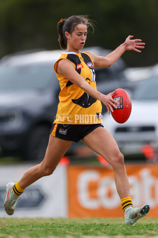 Coates League Girls 2025 Preliminary Final - Dandenong Stingrays v Oakleigh Chargers - A-62355748