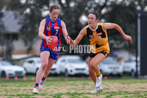 Coates League Girls 2025 Preliminary Final - Dandenong Stingrays v Oakleigh Chargers - A-62356327