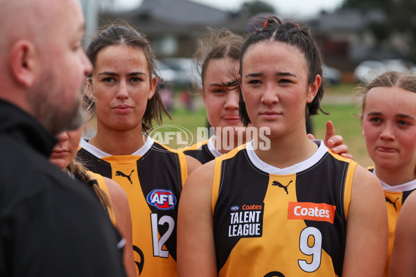 Coates League Girls 2025 Preliminary Final - Dandenong Stingrays v Oakleigh Chargers - A-62356345