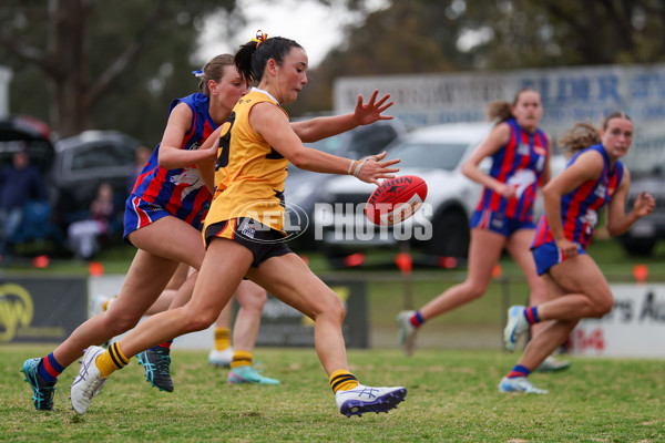 Coates League Girls 2025 Preliminary Final - Dandenong Stingrays v Oakleigh Chargers - A-62356368