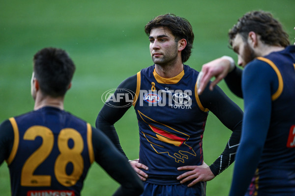 AFL 2025 Training - Adelaide 090925 - A-62366983