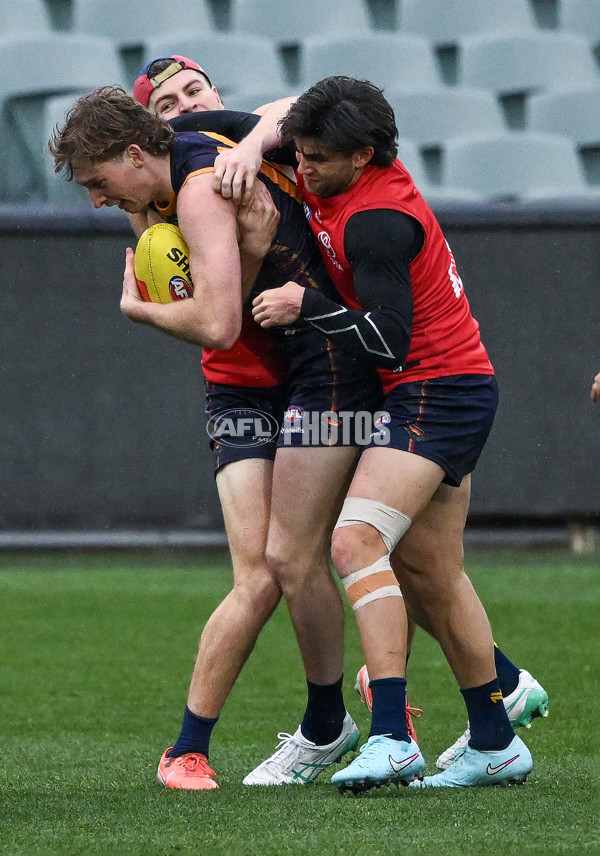 AFL 2025 Training - Adelaide 090925 - A-62384278