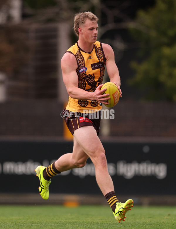 AFL 2025 Training - Hawthorn 100925 - A-62384329
