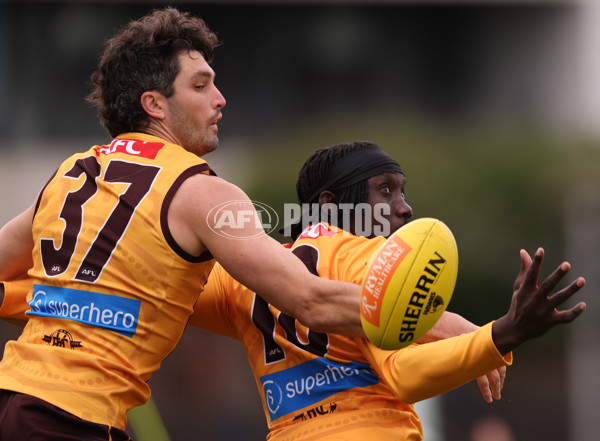 AFL 2025 Training - Hawthorn 100925 - A-62384348