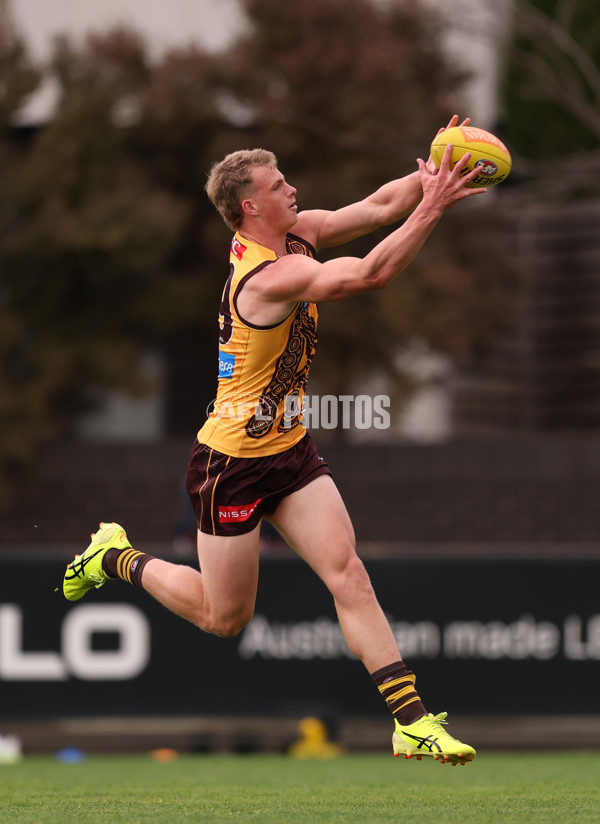 AFL 2025 Training - Hawthorn 100925 - A-62390547