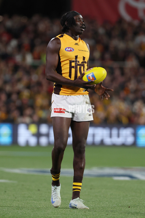 AFL 2025 First Semi Final - Adelaide v Hawthorn - A-62574354