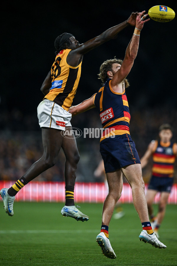 AFL 2025 First Semi Final - Adelaide v Hawthorn - A-62587799