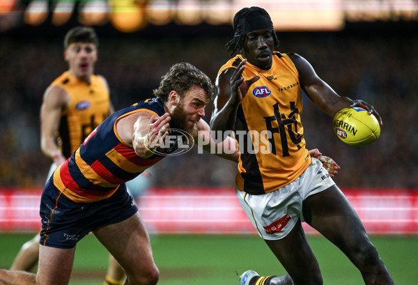 AFL 2025 First Semi Final - Adelaide v Hawthorn - A-62587809
