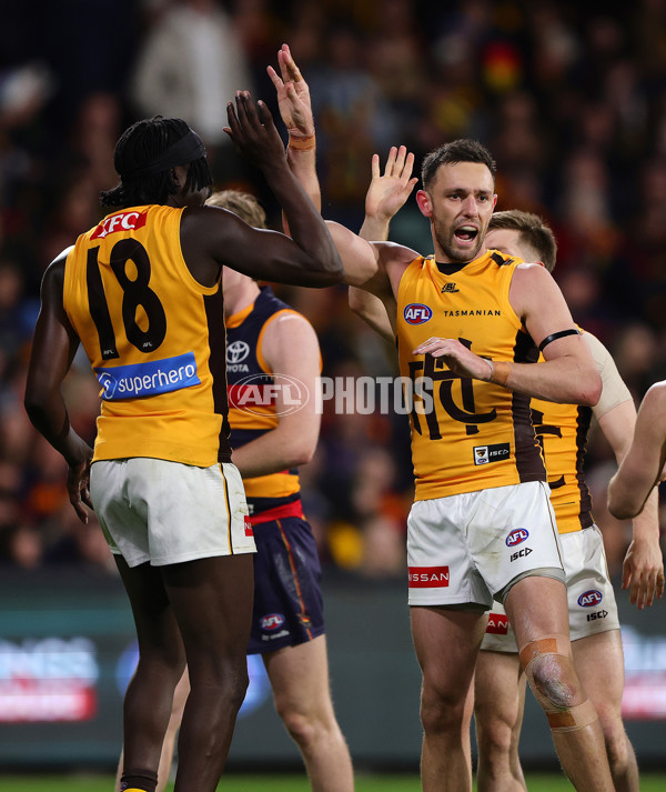 AFL 2025 First Semi Final - Adelaide v Hawthorn - A-62587821