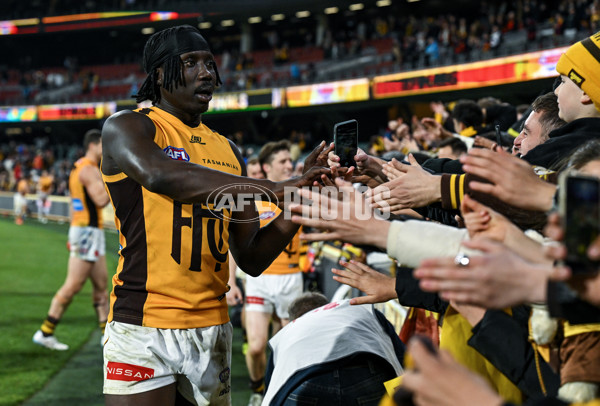 AFL 2025 First Semi Final - Adelaide v Hawthorn - A-62593217