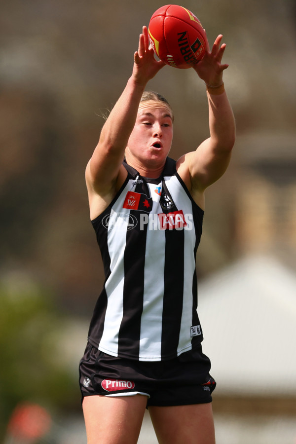 AFLW 2025 Round 05 - Collingwood v Sydney - A-62729692