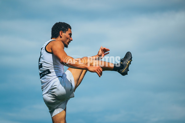 VFL 2025 Second Preliminary Final - Southport Sharks v Frankston - A-62748465