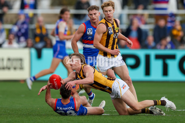 VFL 2025 First Preliminary Final - Footscray v Box Hill - A-62795031