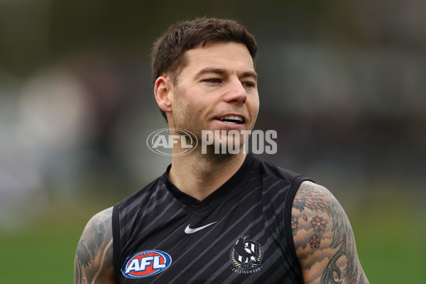 AFL 2025 Training - Collingwood 160925 - A-62849358