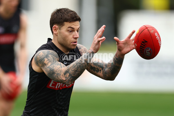 AFL 2025 Training - Collingwood 160925 - A-62849363