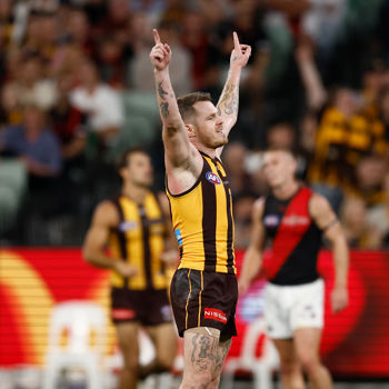 Hawthorn V Essendon