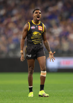 afl banner
