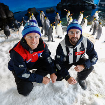 AFL 2025 Media - Big Freeze 11 Media Opportunity 030625