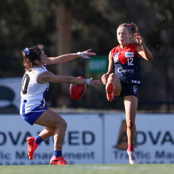VFLW 2025 Round 13 - Casey Demons v North Melbourne