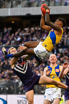 afl banner