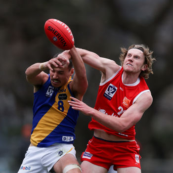VFL 2025 Round 16 - Northern Bullants v Williamstown