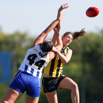 VFLW 2025 Round 14 - Sandringam v North Melbourne